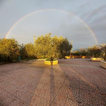Lisandro Wine Resort Apartments Caserta Castel Campagnano Zewnętrze zdjęcie