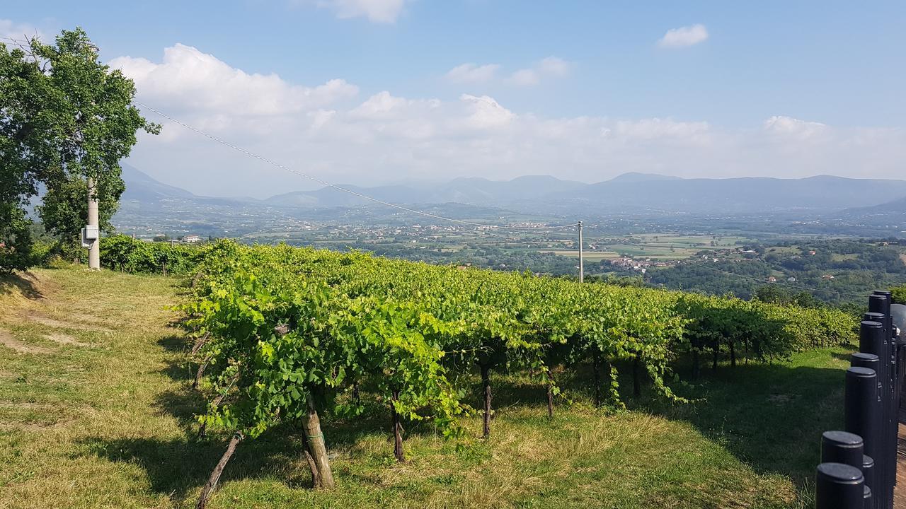Lisandro Wine Resort Apartments Caserta Castel Campagnano Zewnętrze zdjęcie