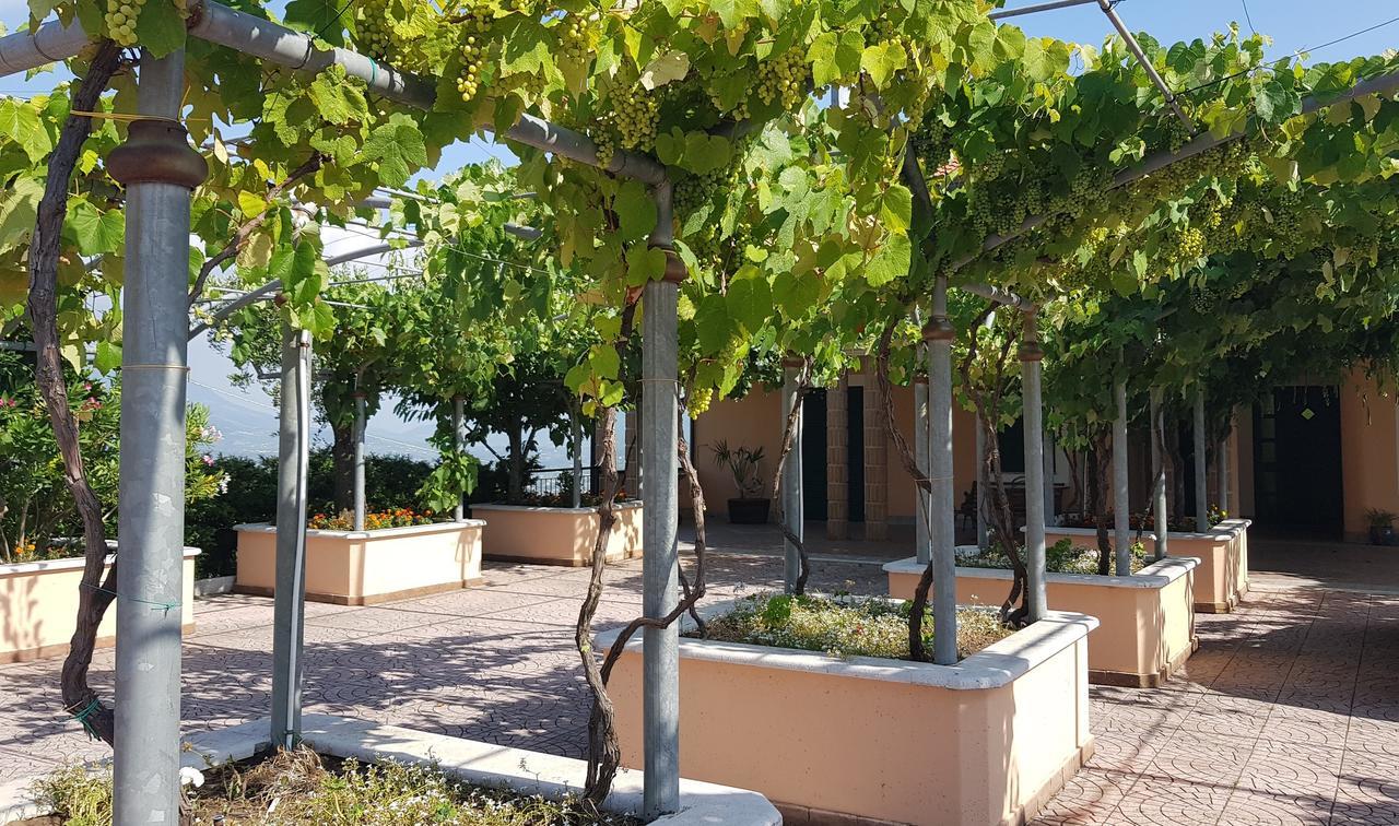 Lisandro Wine Resort Apartments Caserta Castel Campagnano Zewnętrze zdjęcie