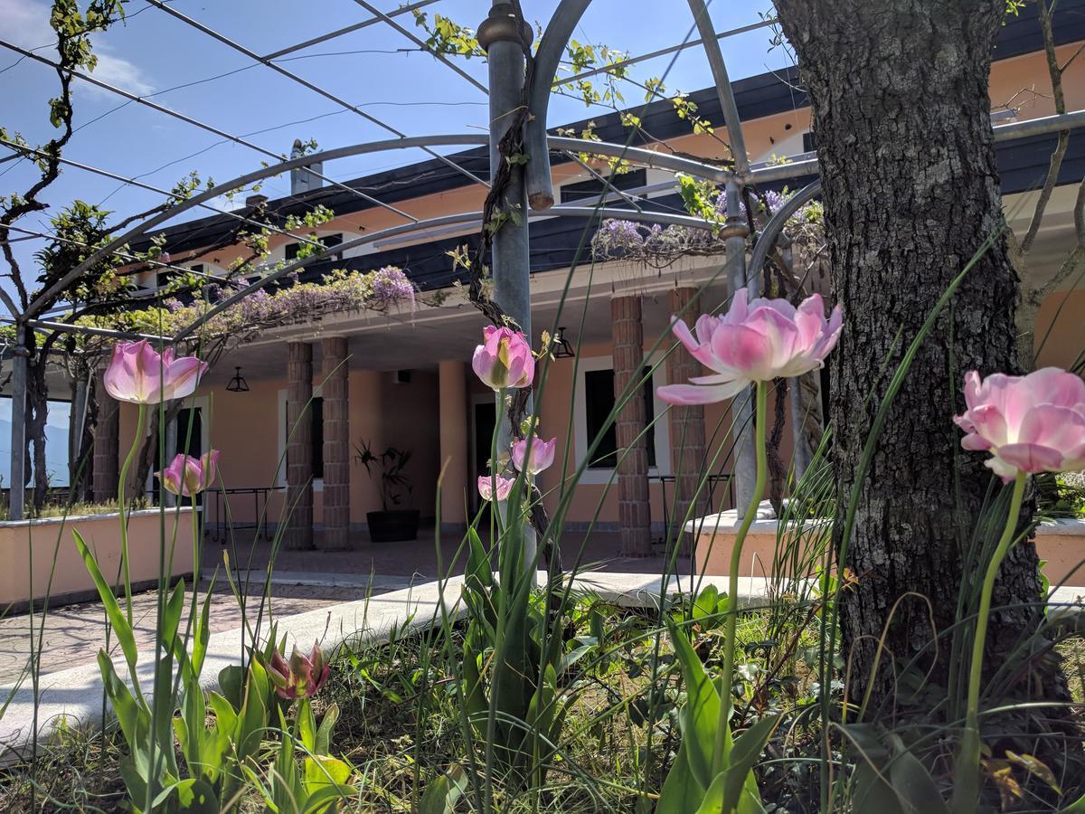 Lisandro Wine Resort Apartments Caserta Castel Campagnano Zewnętrze zdjęcie